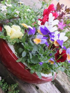 24899086_1530562767021784_15089914_n