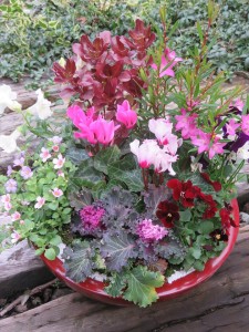 24989307_1530562787021782_1719898957_n