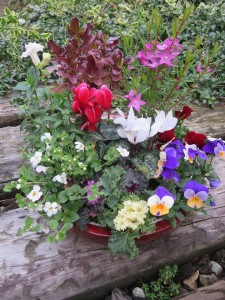 24992212_1530562770355117_1453469038_n