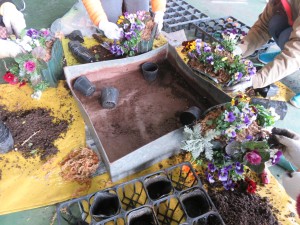 25035279_1531487753595952_362833382_o