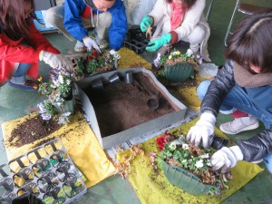 25035544_1531487726929288_648831477_o