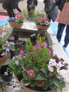 25105505_1532941656783895_852791046_n