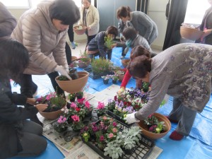 25198564_1532941663450561_56650039_o