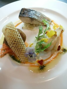 25398946_1407549972707188_1096667140307359277_n