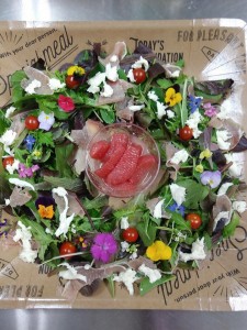 25519715_1541747622569965_325695903_n