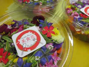 25551573_1541733195904741_170717106_o