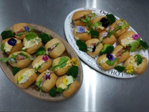 25552830_1541747595903301_976862983_o