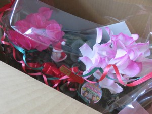 25673366_1544693538942040_1574139909_o