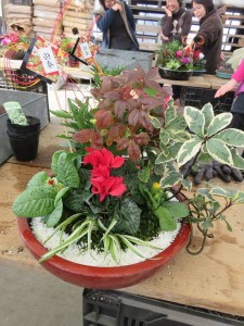 25990943_1546410122103715_1441404109_n