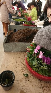 26034690_1547351465342914_840246549_n