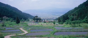 19092731_1361729817237292_2423494981550852900_o