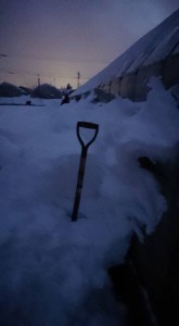 26229709_1564906186920775_6610919012268304828_n