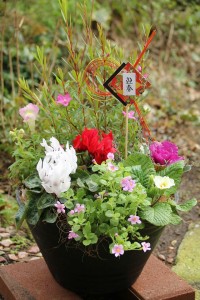 26234184_1555486841196043_1180476759_n