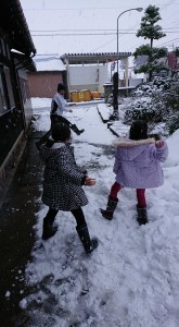 26241624_1556944294383631_1296487880_n