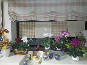 26542985_1555486857862708_822787192_o