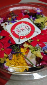 26552691_1558277980916929_1777329899_n