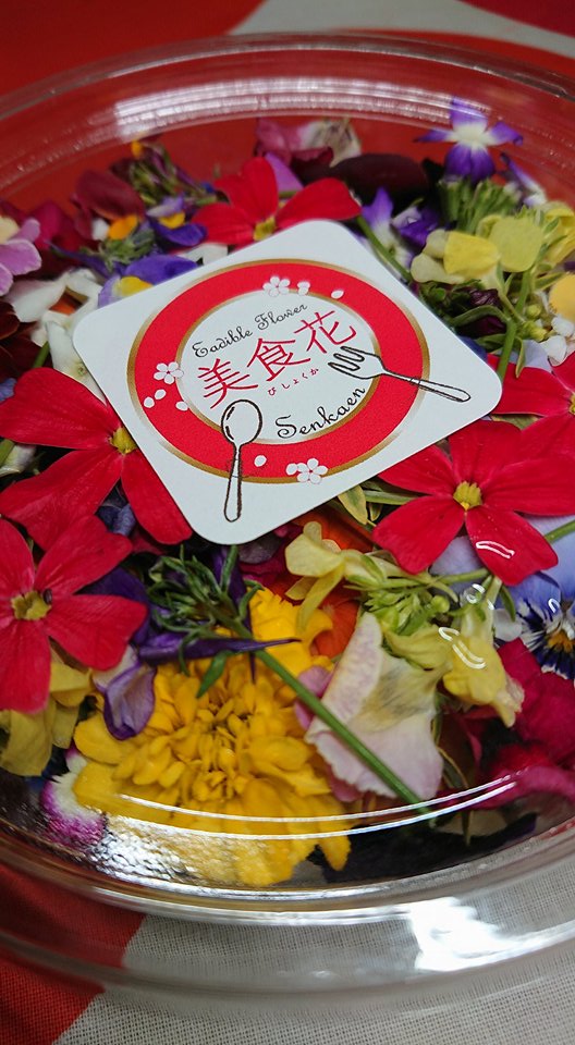 美食花発送！！