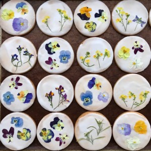 26638464_913014418862178_855651288_n