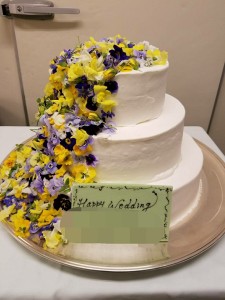 26696295_1559121264165934_2082327079_n