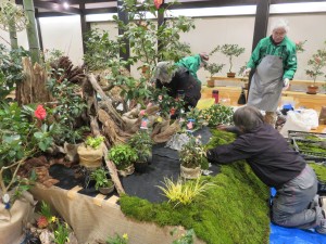 26909738_1572919986119395_1983914699_o