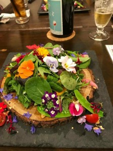 26942828_1568643683213692_440498357_n