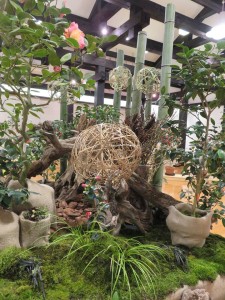 26943404_1572921642785896_1324304884_n