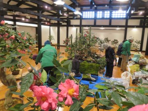 26982162_1572920012786059_1169473849_o