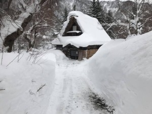 26993462_1599137216843397_7375060825066068185_n