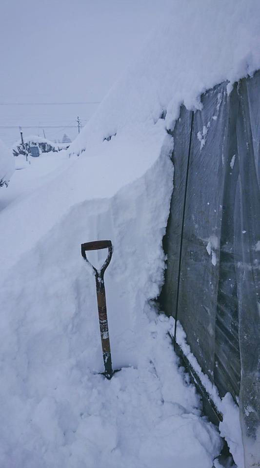 窮地で思いついた「除雪ダイエット」
