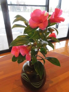 26996840_1572921649452562_1002561140_n