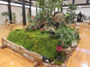 27016417_1572921482785912_1461980188_o