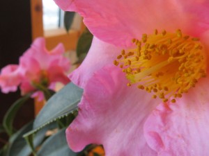 27018932_1572921796119214_2035126387_o