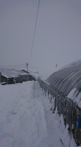 27045065_1578283535583040_1347504307_n