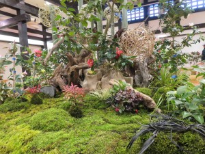 27048191_1572921476119246_1641145962_o