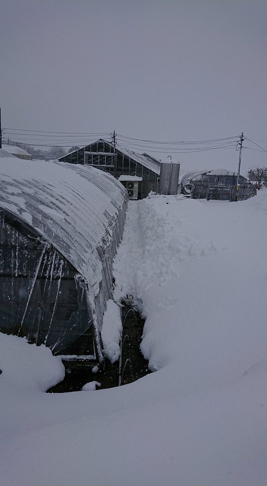 ダイエット！！