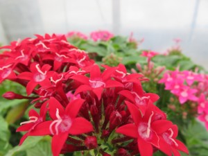 27356316_1580110442067016_7468473561668600082_o