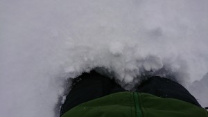 27393040_1581291891948871_489605634_o