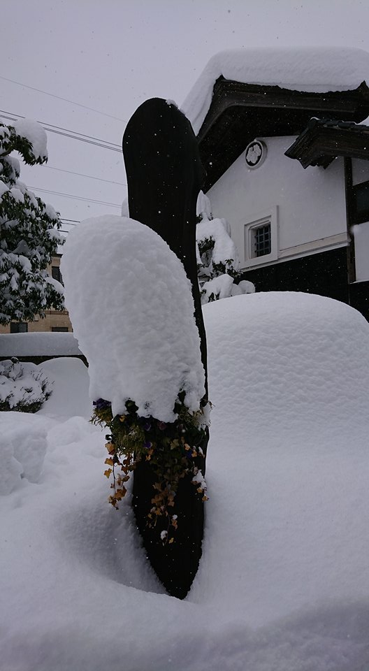 今日も除雪