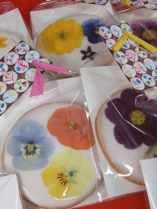 27497623_1584678438276883_108025022_n