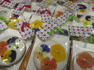 27535534_1584678731610187_1143972814_o