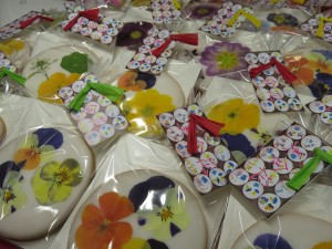 27536851_1584677811610279_2110202826_o