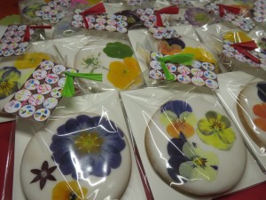 27537693_1584678728276854_773492936_o