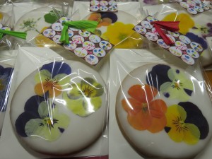 27604266_1584677821610278_1055445765_o