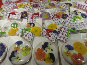 27604421_1584677808276946_327812046_o