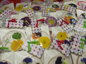 27604808_1584677818276945_1654718297_o