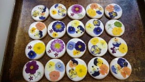 27605565_785250588334009_554515285_o