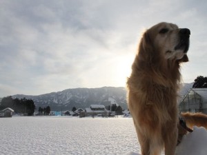 417675_269987053079368_907661997_n