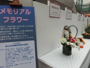 27655423_1596401623771231_2169770783122365531_n