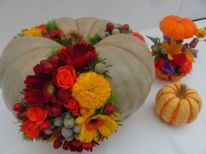 27658003_1596401663771227_5351210537448717391_n