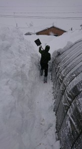 27718622_1592108864200507_1865577848_n